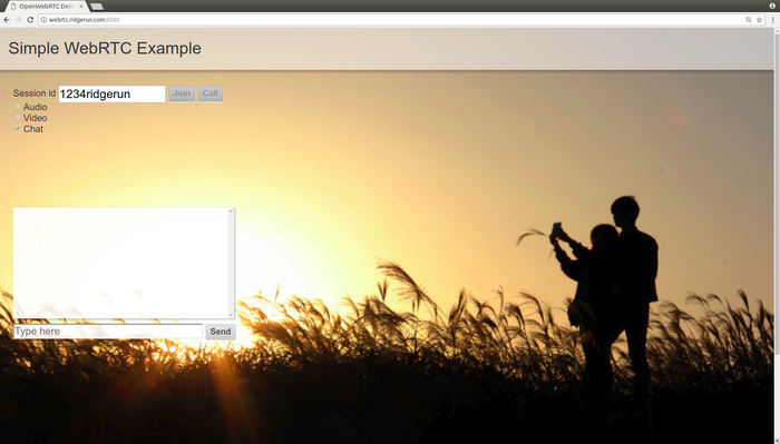 Establish a WebRTC call with http://webrtc.ridgerun.com:8080/