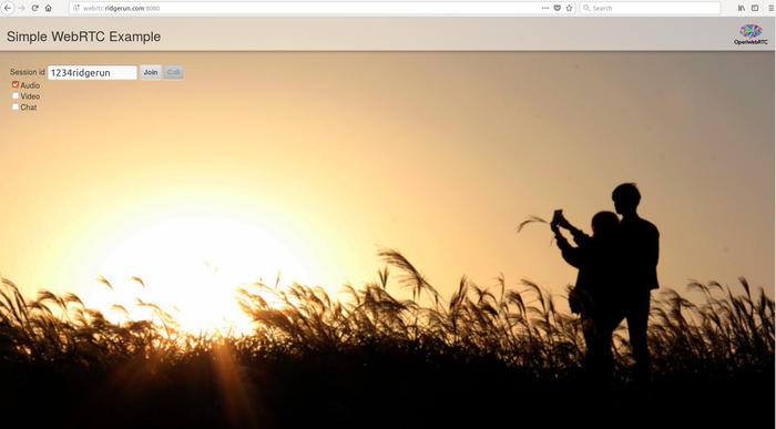 Establish a WebRTC call with http://webrtc.ridgerun.com:8080/