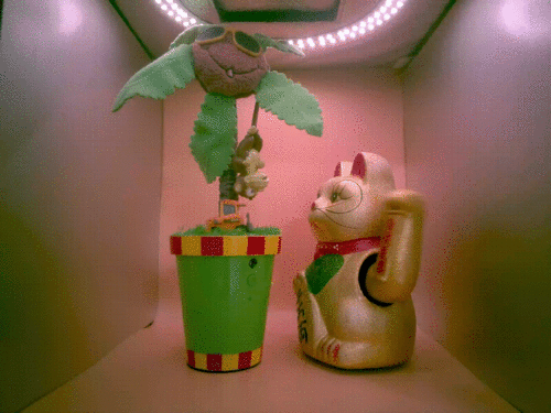 Example capture of the OV5693 Camera